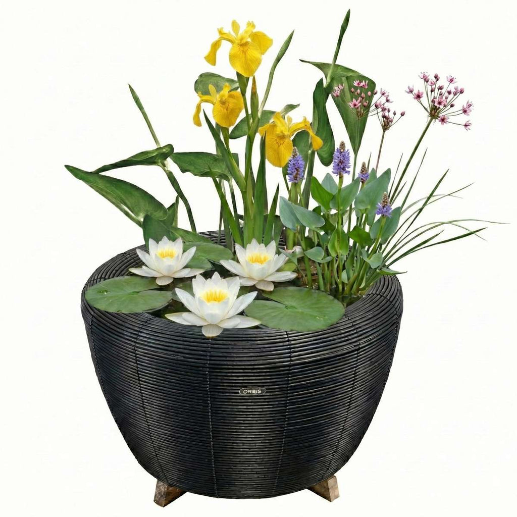Mini Vijver met Waterval Antraciet Wit