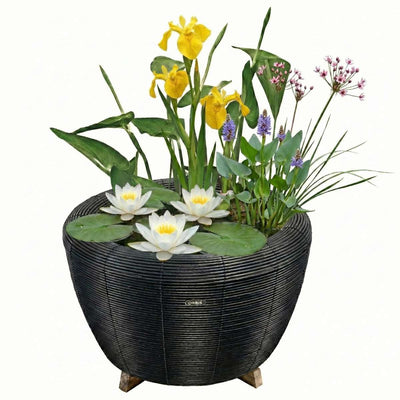 Mini Vijver met Waterval Antraciet Wit