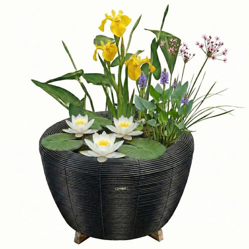 Mini Vijver met Waterval Antraciet Wit