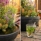 PET POND Buiten Waterbak Drinkbak voor Hond Kat Vogels