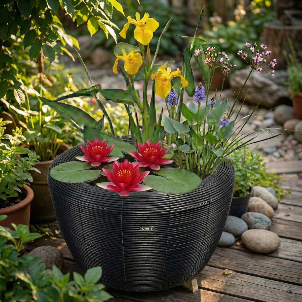 Mini Vijver met Waterval Antraciet Rood