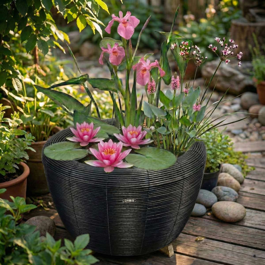 Mini Vijver met Waterval Antraciet Roze