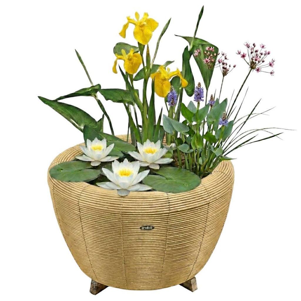 Mini Vijver met Waterval Beige Wit