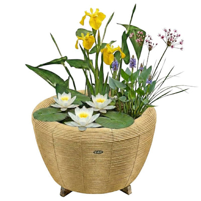 Mini Vijver met Waterval Beige Wit