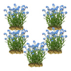 Moerasvergeet mij nietje 100 planten
