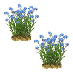 Moerasvergeet mij nietje 30 planten