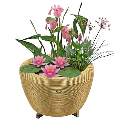 Mini Vijver met Waterval Beige Roze