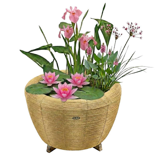 Mini Vijver met Waterval Beige Roze