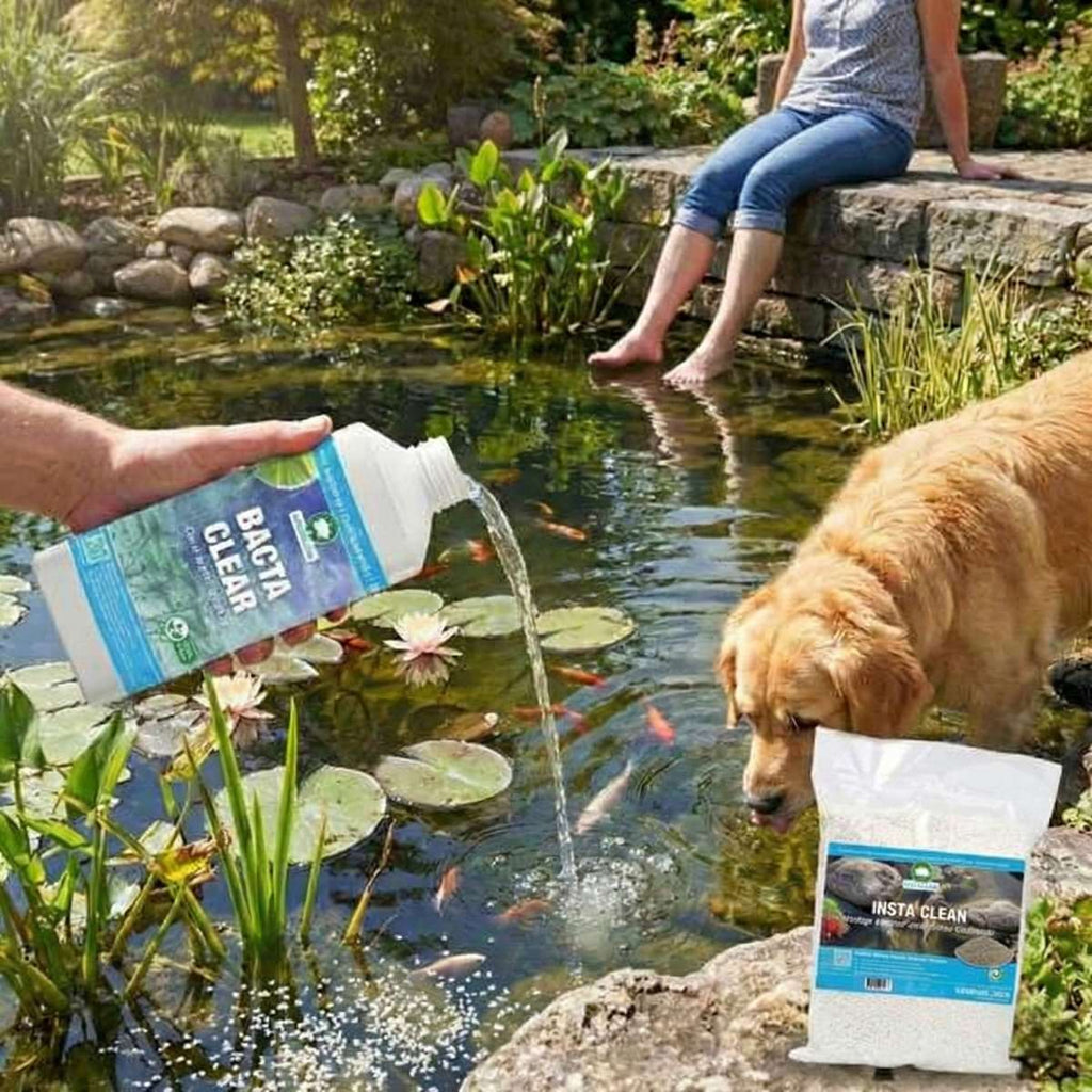 Compleet Vijverpakket Multi 6.500-10.000L