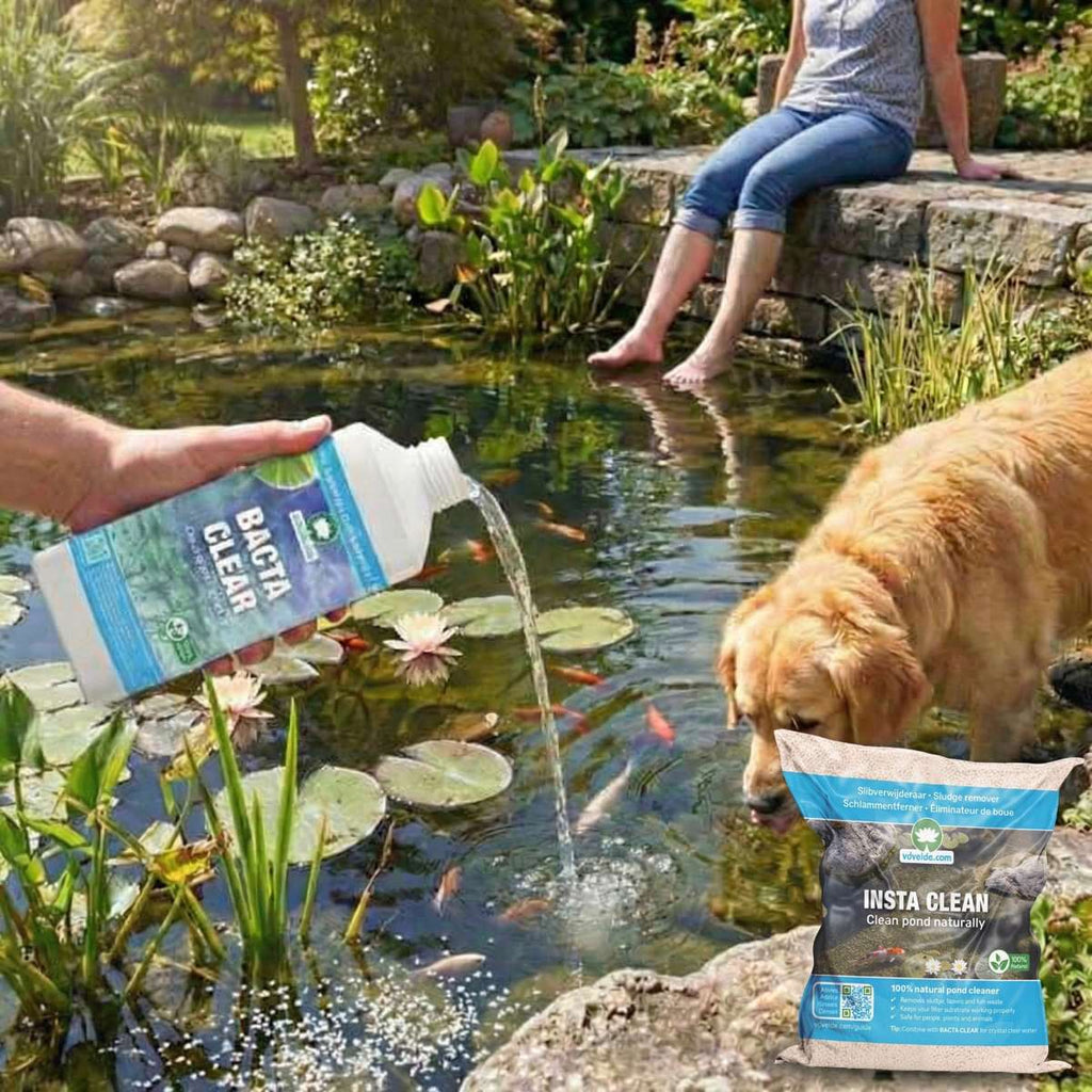 Zuurstofplanten Pakket tegen Groen Water 100-400L