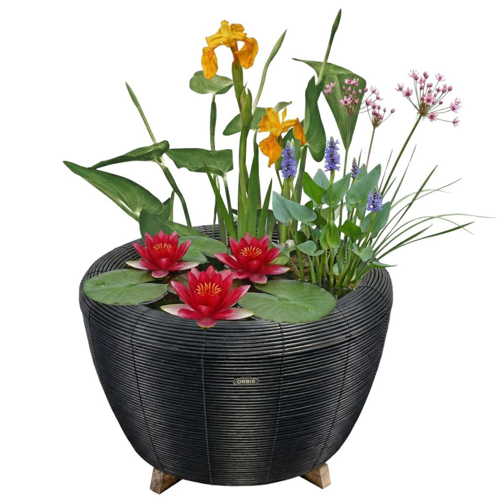 Mini Vijver met Waterval Antraciet Rood