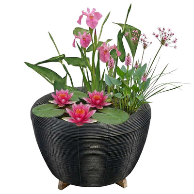 Mini Vijver met Waterval Antraciet Roze
