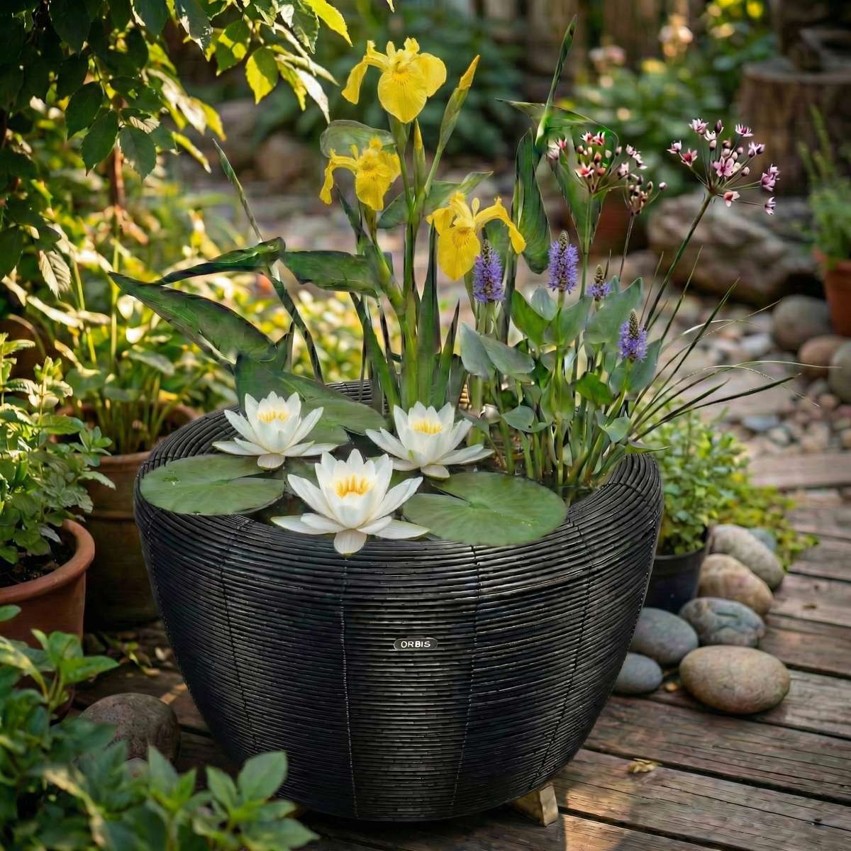 Mini Vijver met Waterval Antraciet Wit