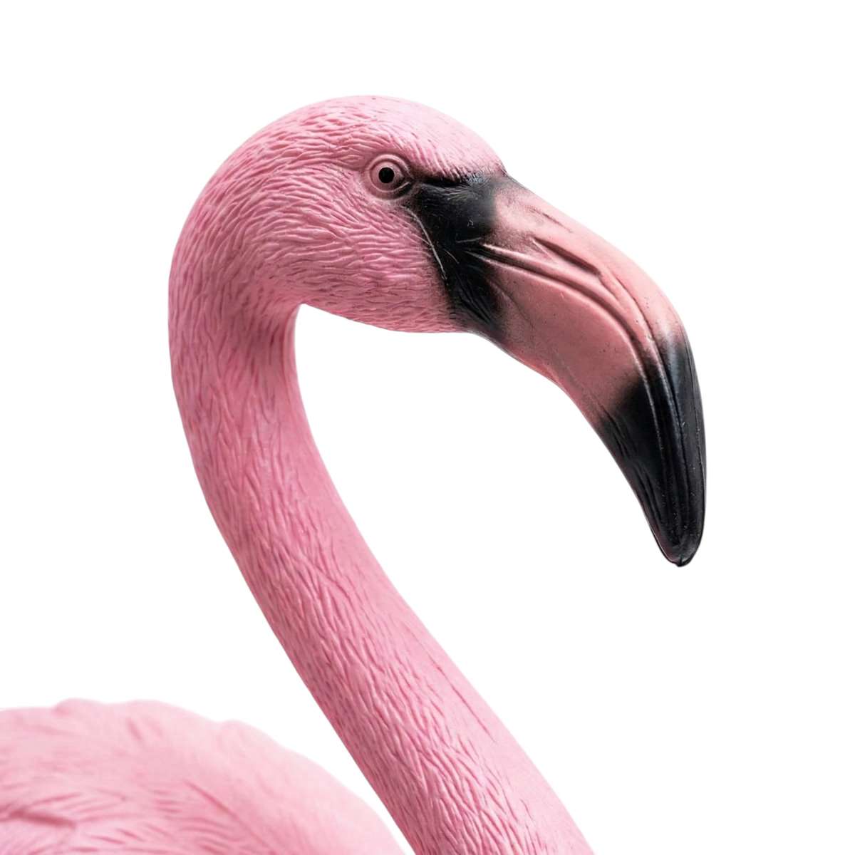 Nep Flamingo