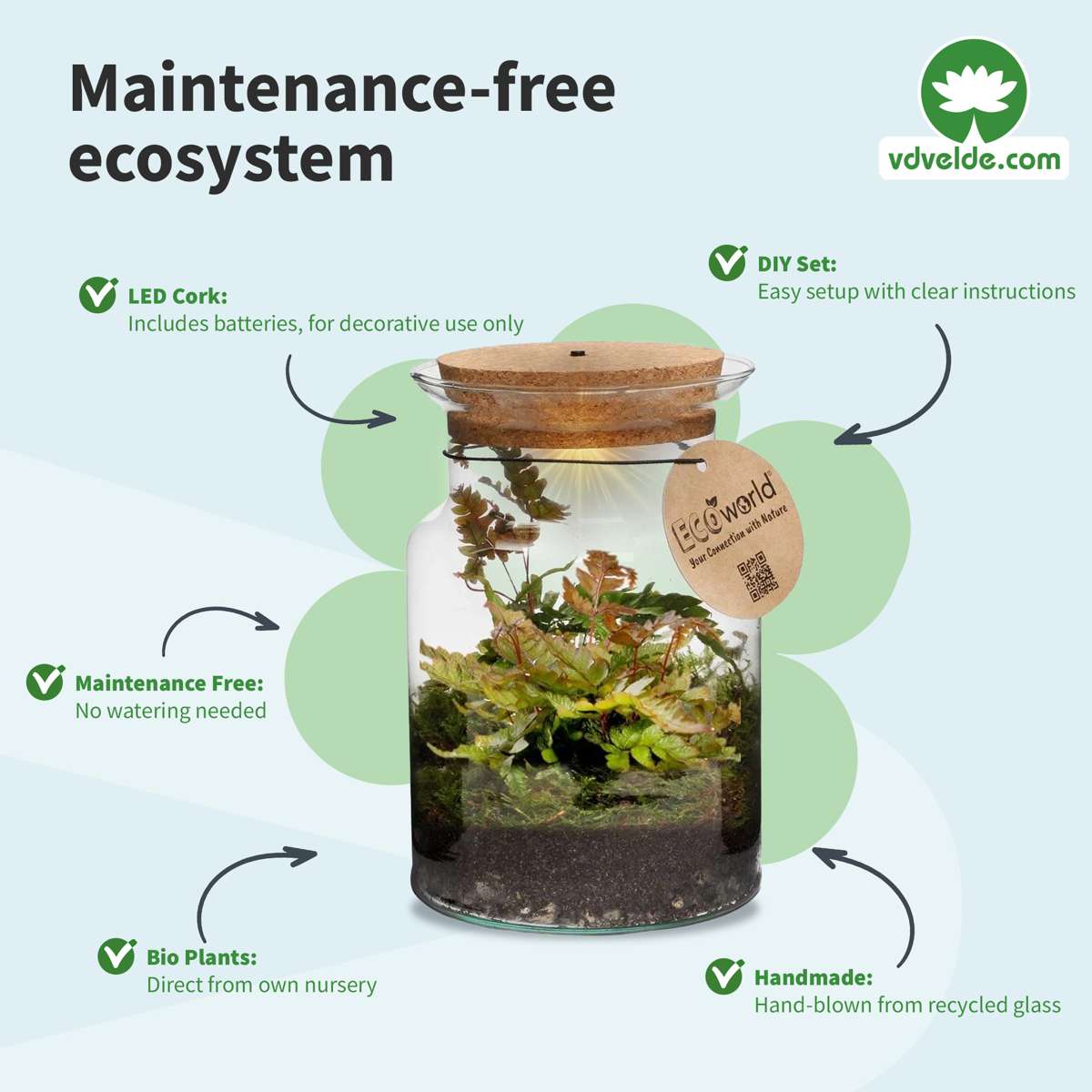 Ecosysteem Plant