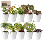 Mini Plantjes met Potjes 100