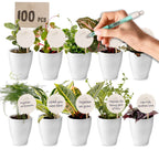 Giveaway Mini Plantjes 100