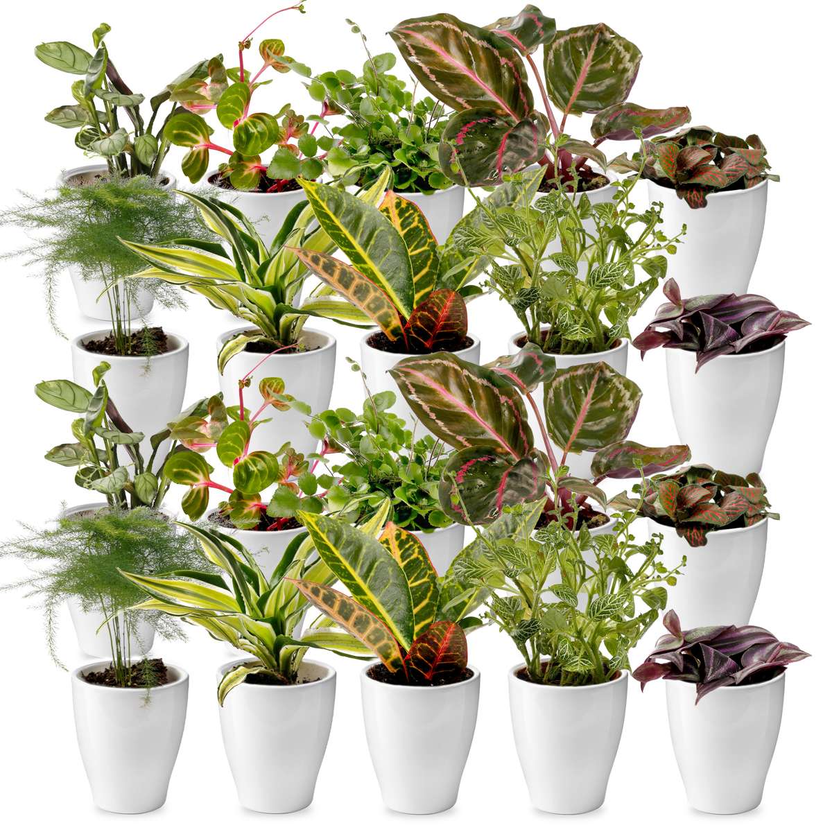 Mini Plantjes met Potjes 20