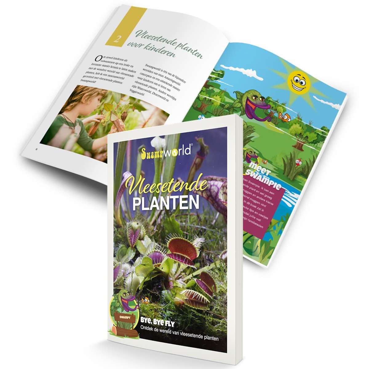 Vleesetende Planten Terrarium
