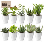 Mini Vetplanten met Potjes 100