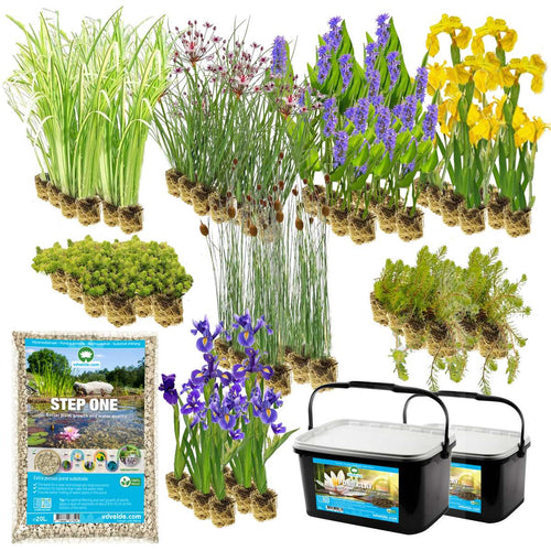 Vijverbak Randbeplanting 1000L