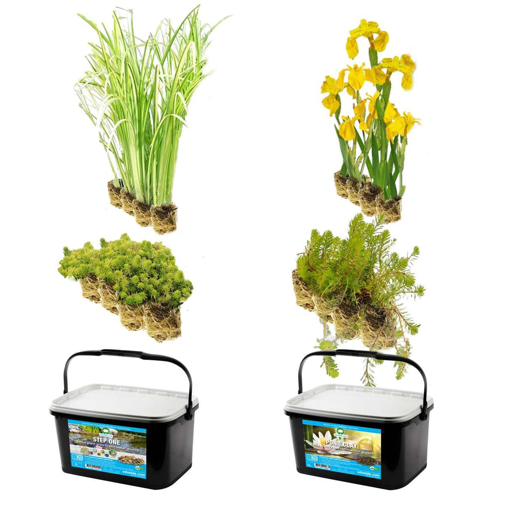 Vijverbak Randbeplanting 150L