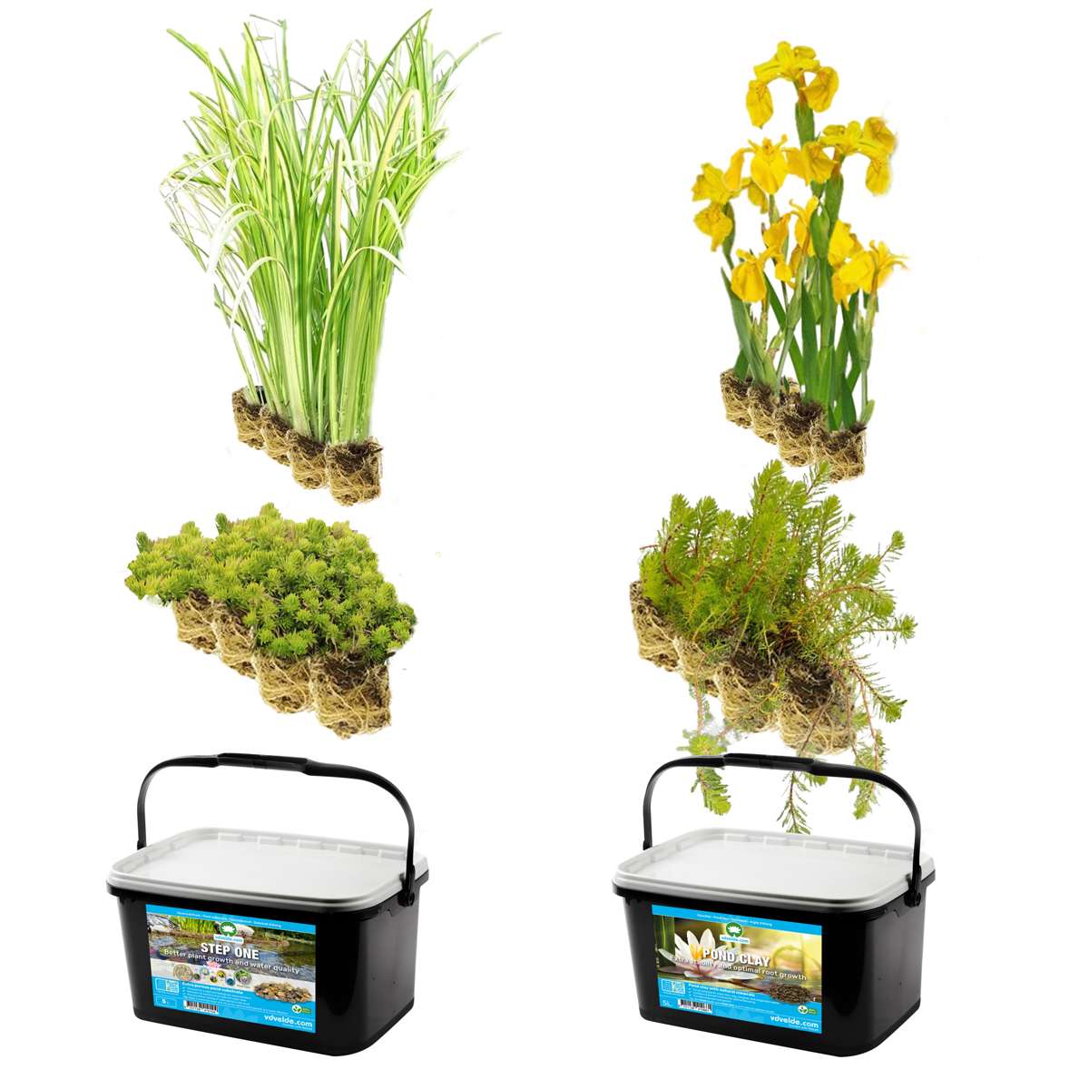 Vijverbak Randbeplanting 150L