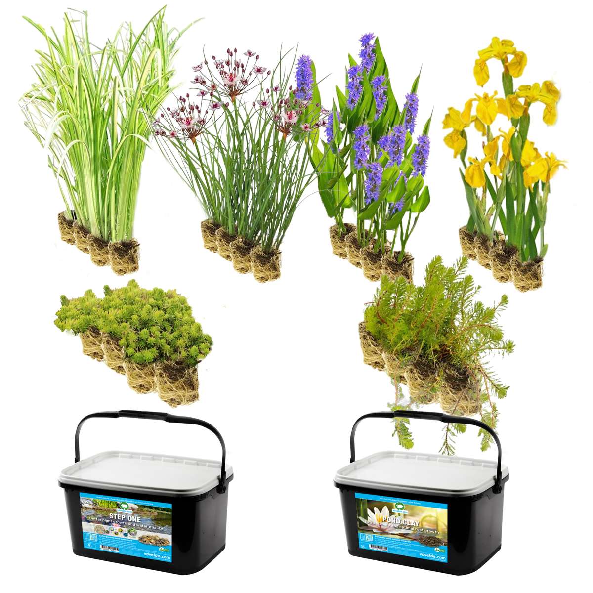 Vijverbak Randbeplanting 500L