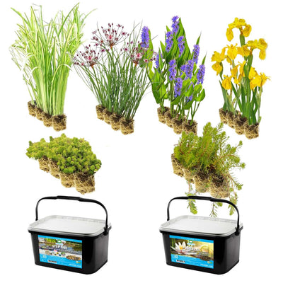 Vijverbak Randbeplanting 500L
