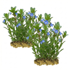 Beekpunge 30 planten