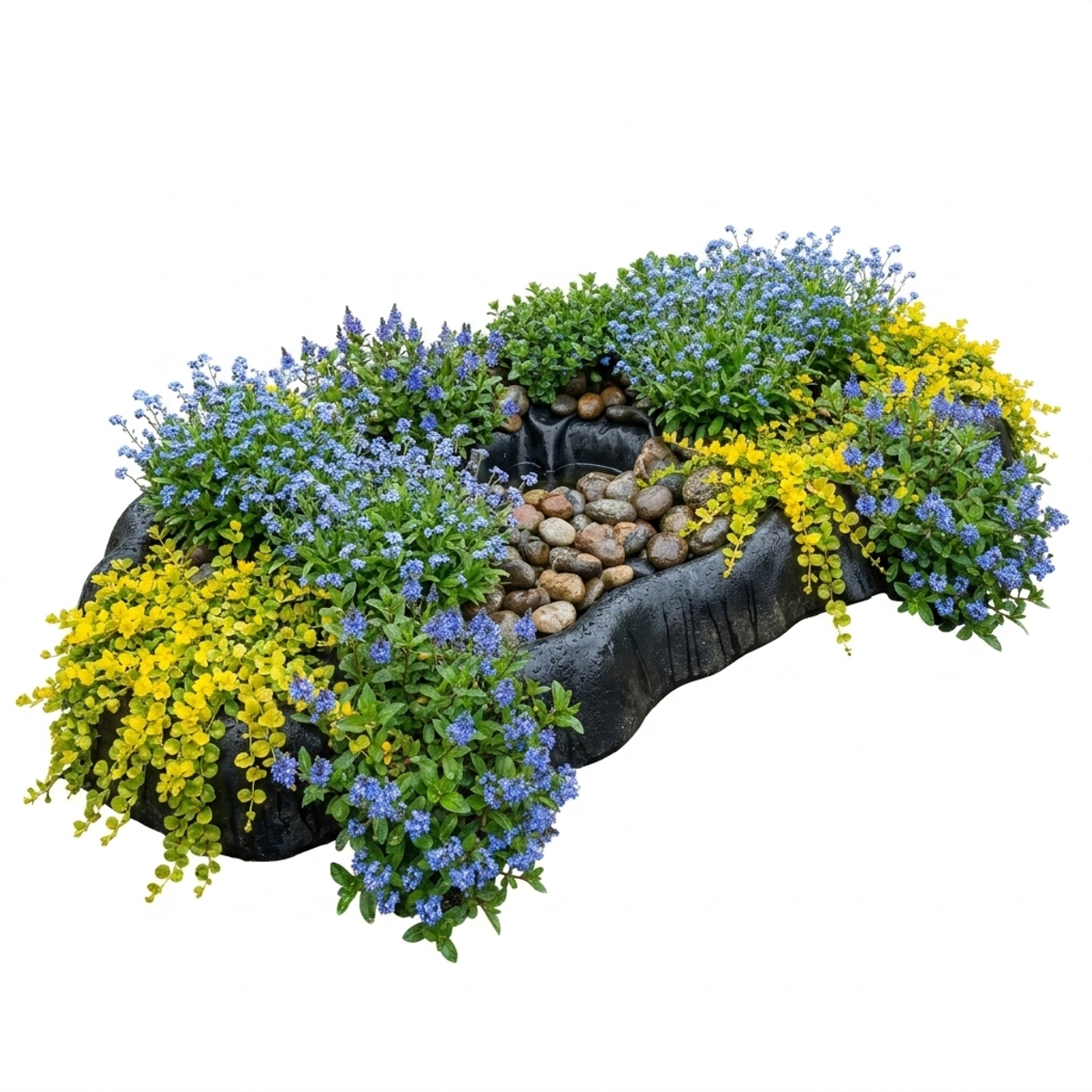 Natte Vijverrand Planten 4-7m2